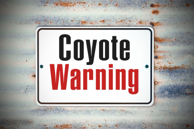 coyote warning